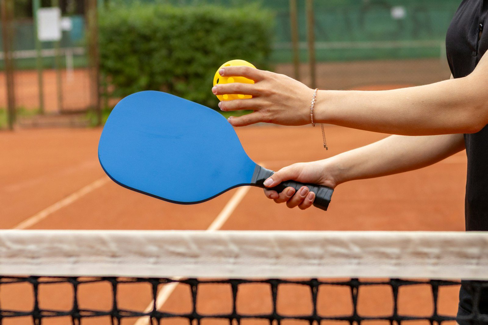A player holds a paddle and ball, ready to serve